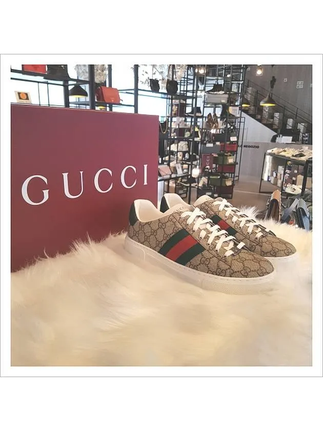Ace GG Supreme Canvas Low Top Sneakers Beige