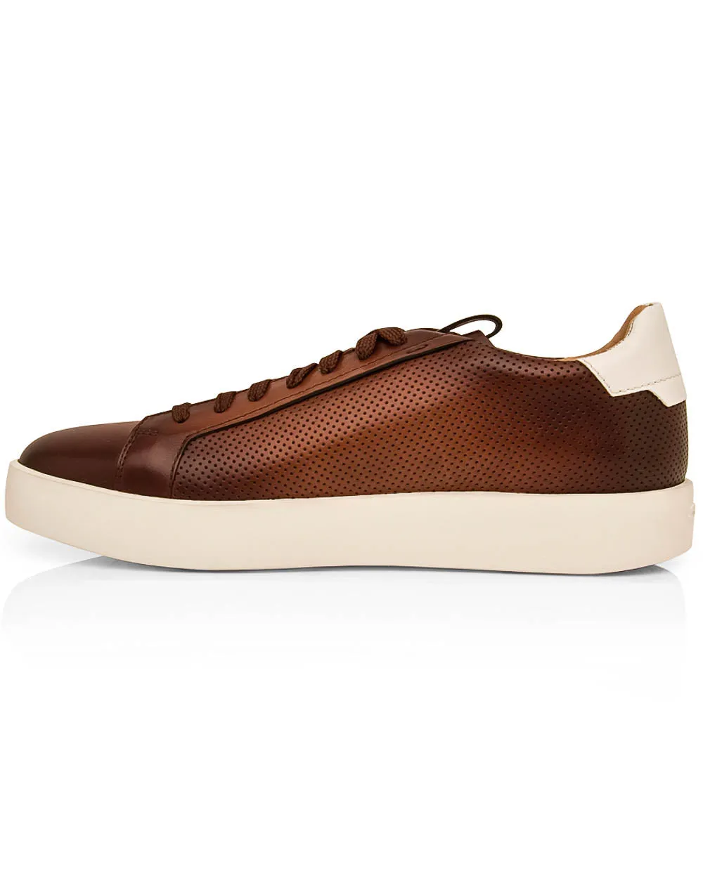 Burgle Perforated Sneaker in Brown