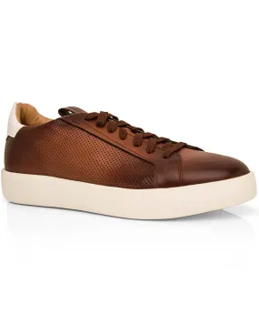 Burgle Perforated Sneaker in Brown