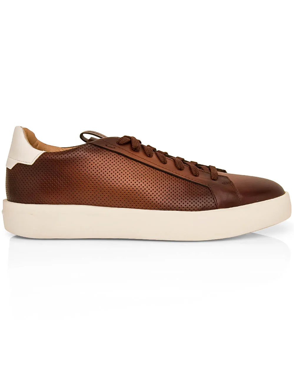 Burgle Perforated Sneaker in Brown