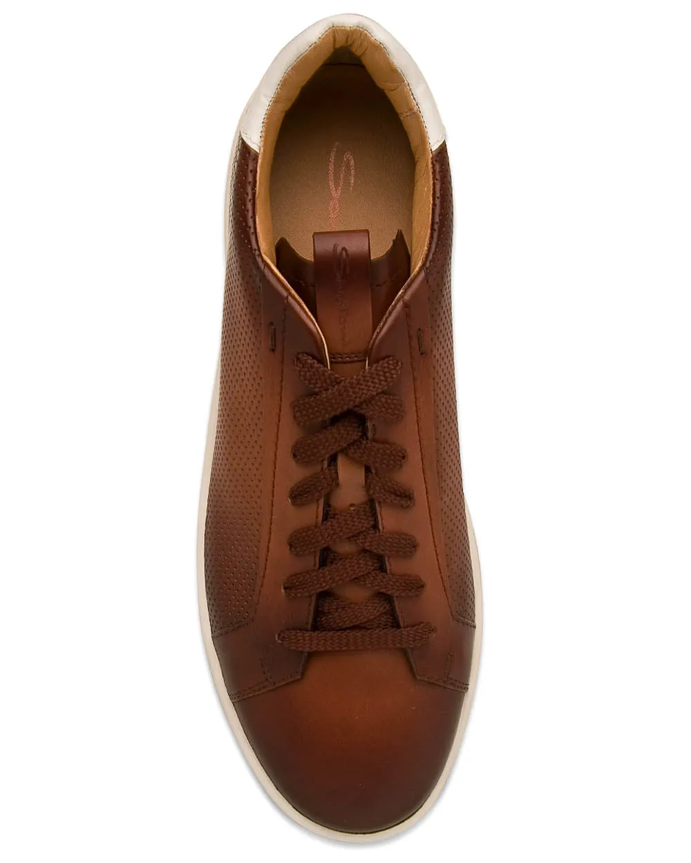 Burgle Perforated Sneaker in Brown