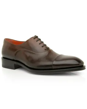 Dynamite Shoe in Dark Brown