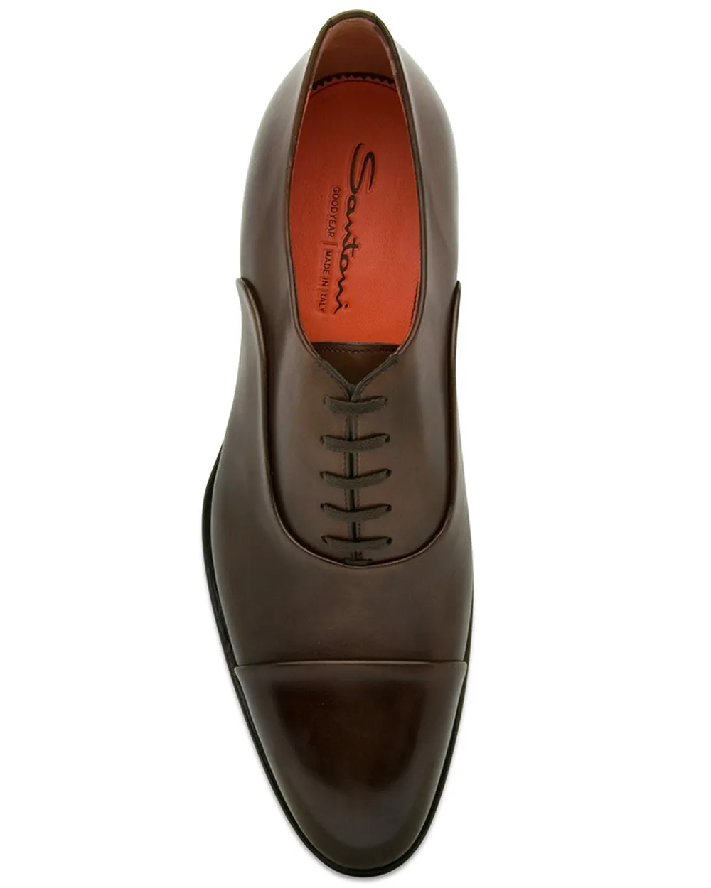 Dynamite Shoe in Dark Brown